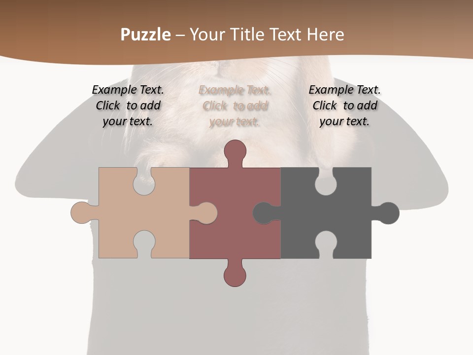 Furry Spring Easter PowerPoint Template