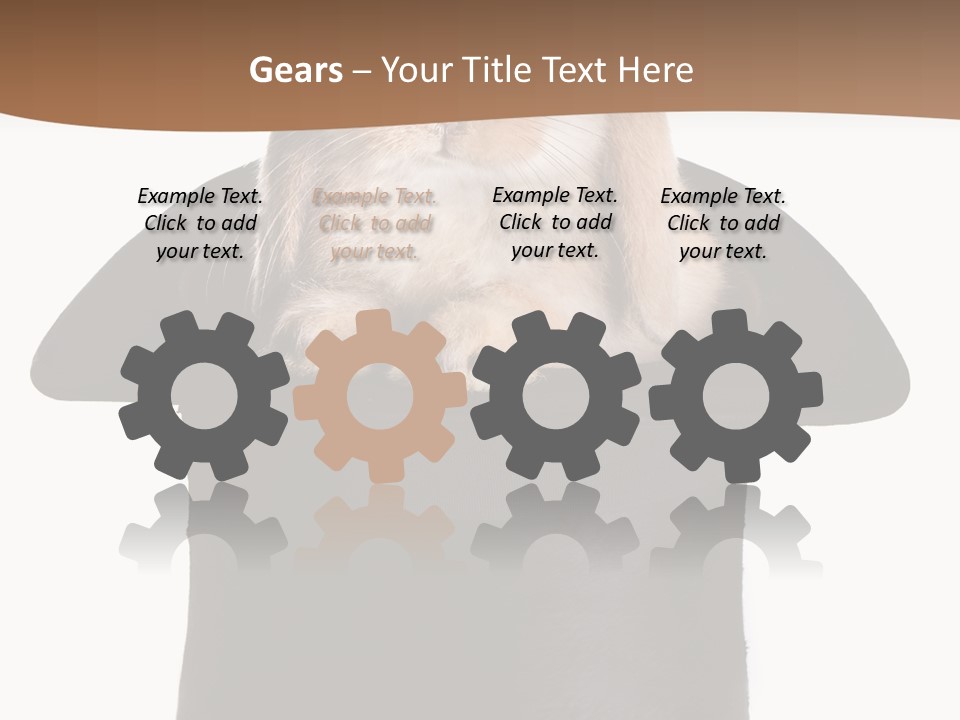 Furry Spring Easter PowerPoint Template