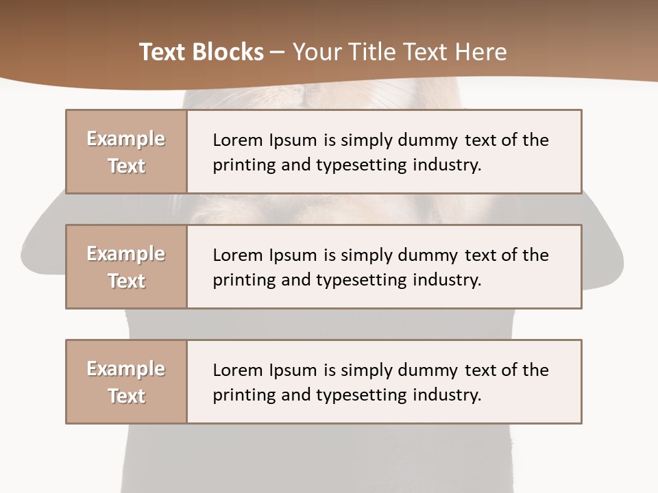 Furry Spring Easter PowerPoint Template