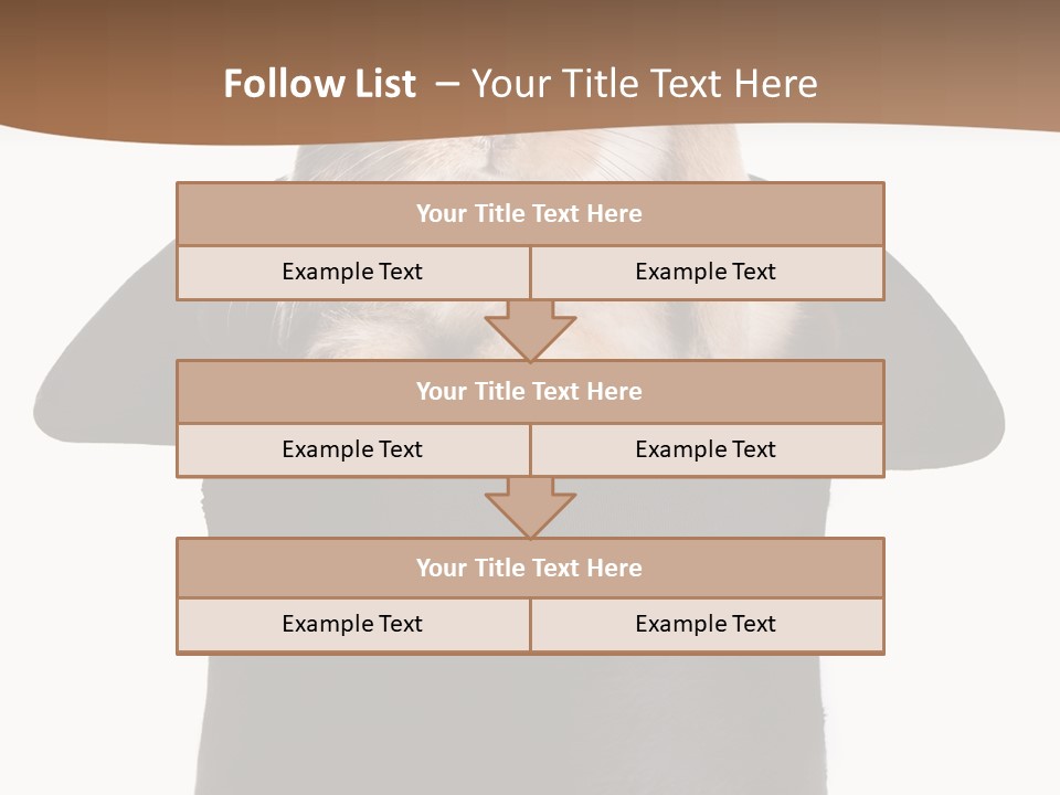 Furry Spring Easter PowerPoint Template