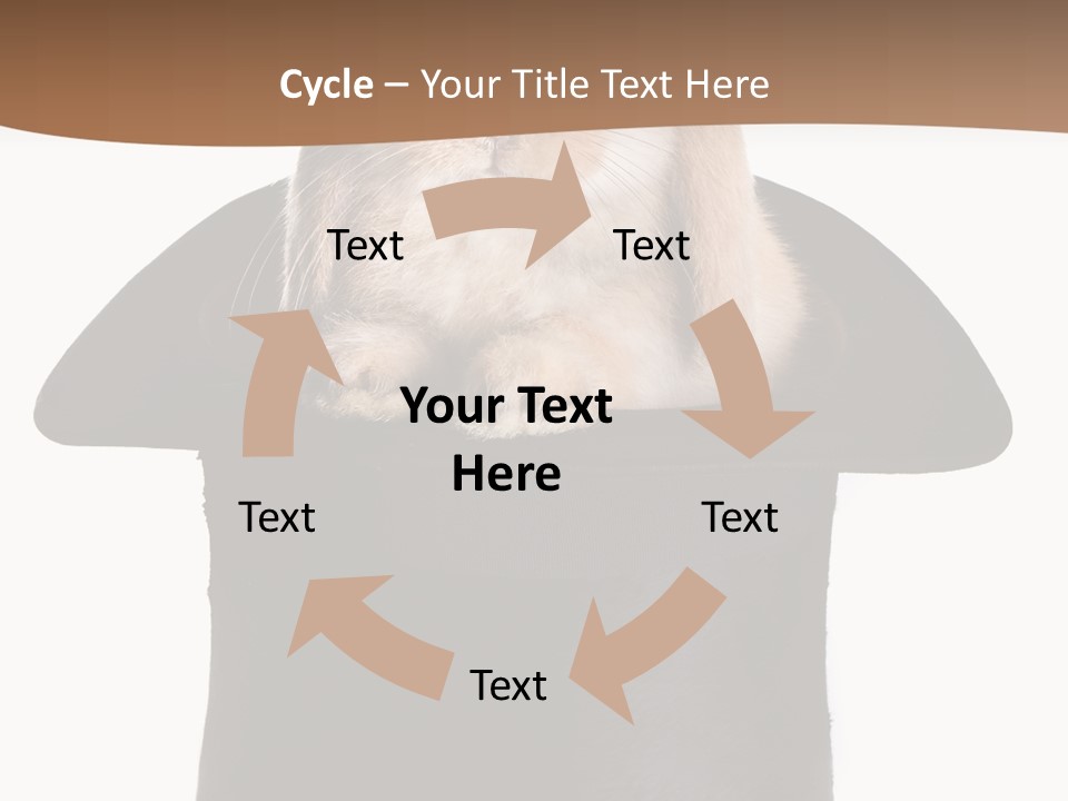 Furry Spring Easter PowerPoint Template