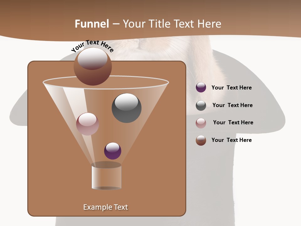 Furry Spring Easter PowerPoint Template