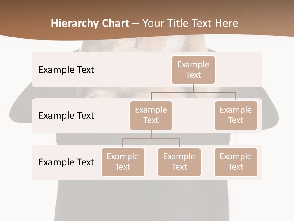 Furry Spring Easter PowerPoint Template