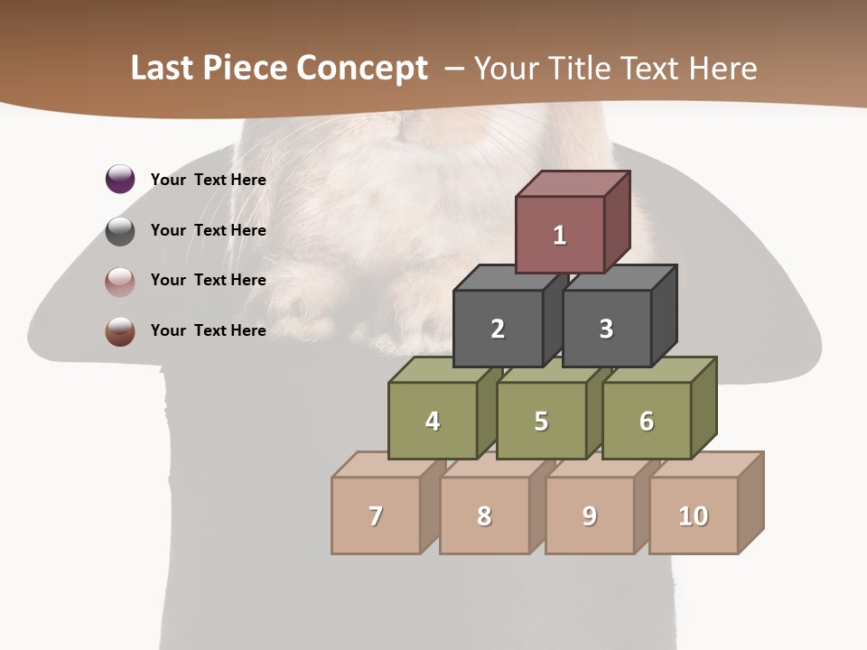 Furry Spring Easter PowerPoint Template