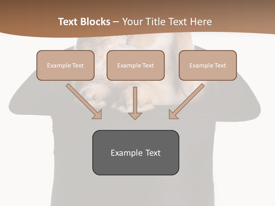 Furry Spring Easter PowerPoint Template