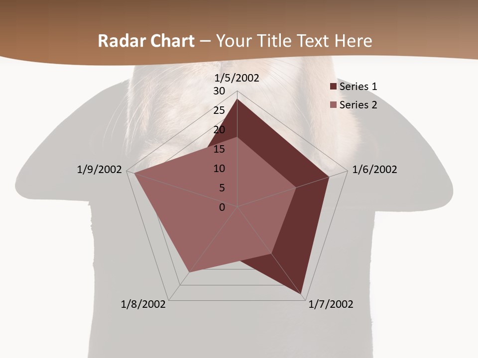 Furry Spring Easter PowerPoint Template