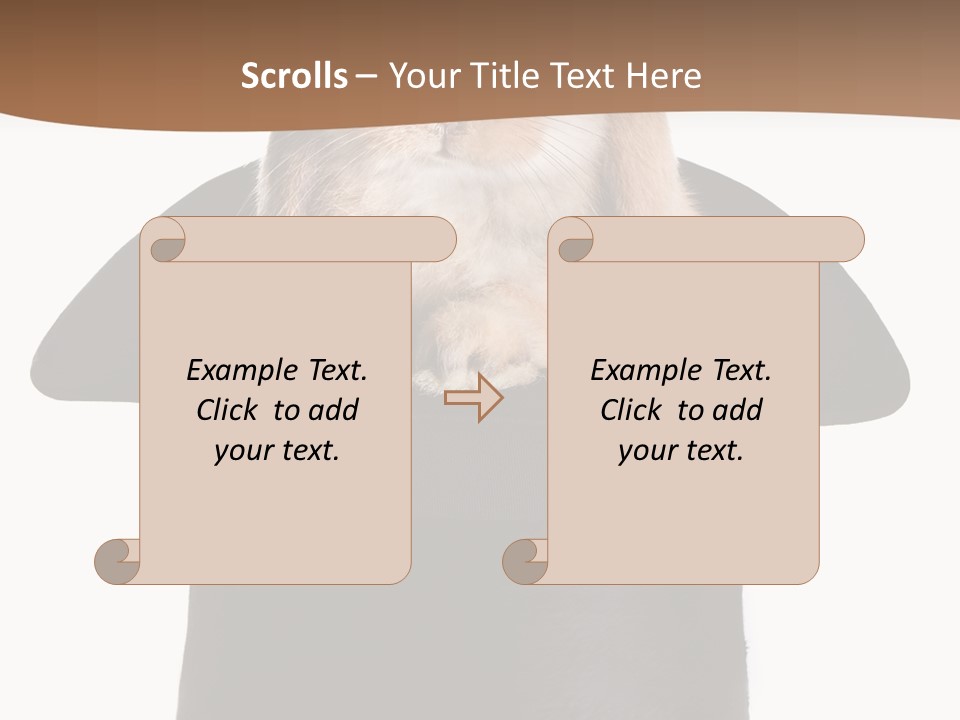Furry Spring Easter PowerPoint Template
