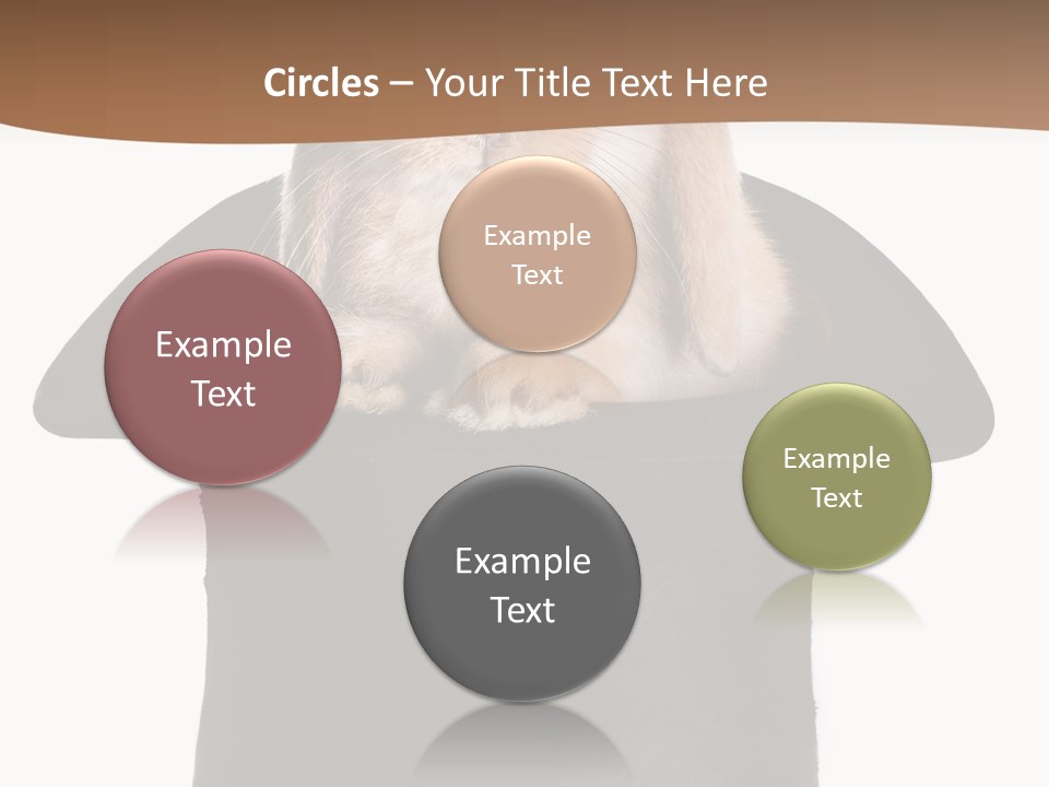 Furry Spring Easter PowerPoint Template