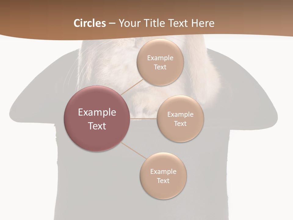 Furry Spring Easter PowerPoint Template