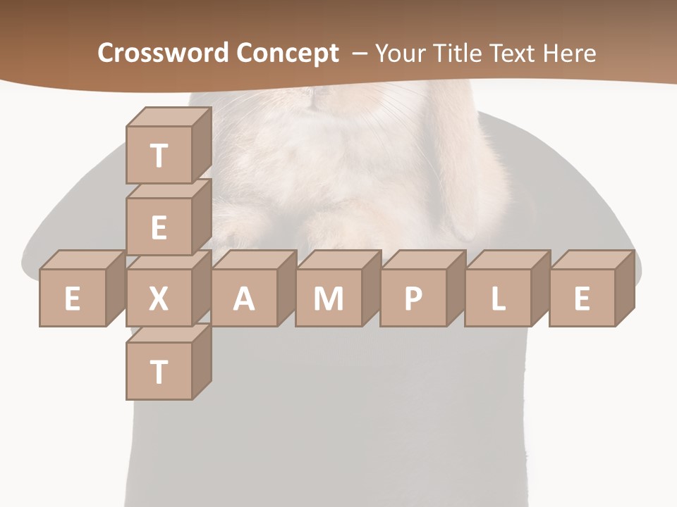 Furry Spring Easter PowerPoint Template