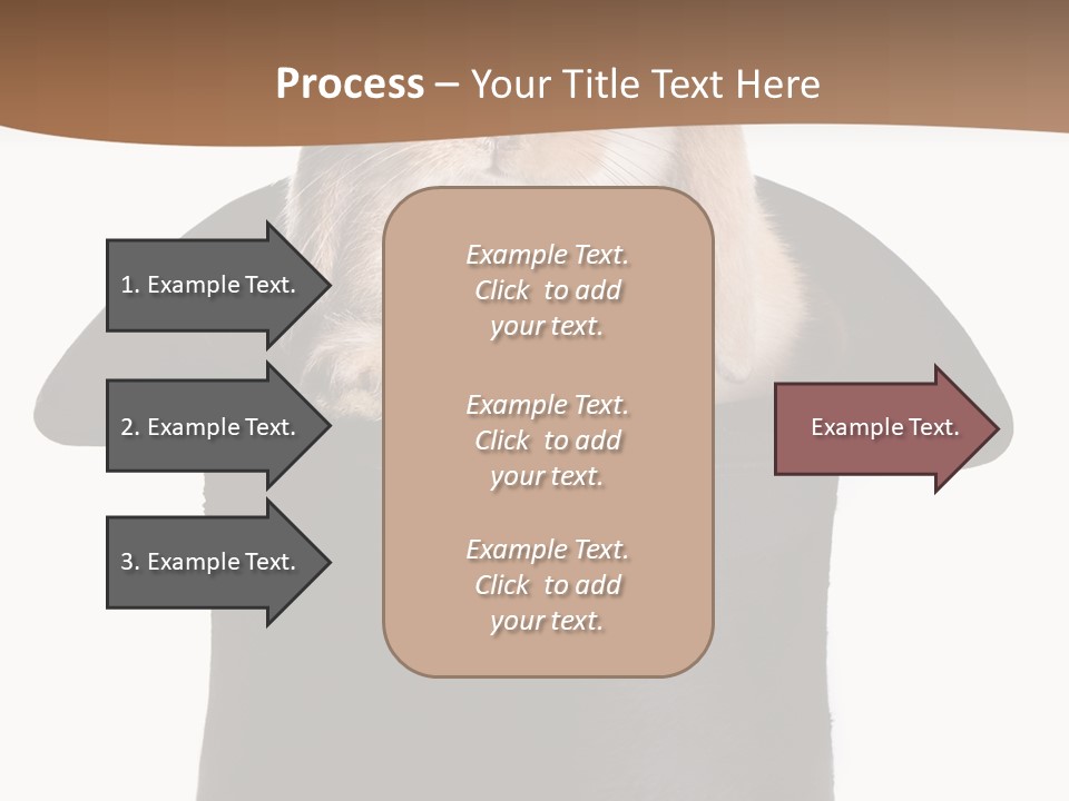 Furry Spring Easter PowerPoint Template