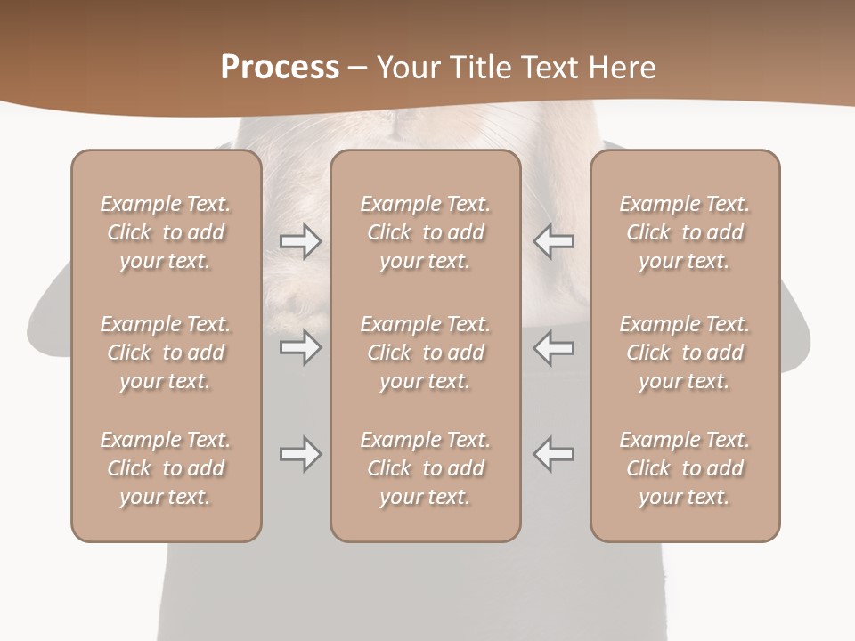 Furry Spring Easter PowerPoint Template