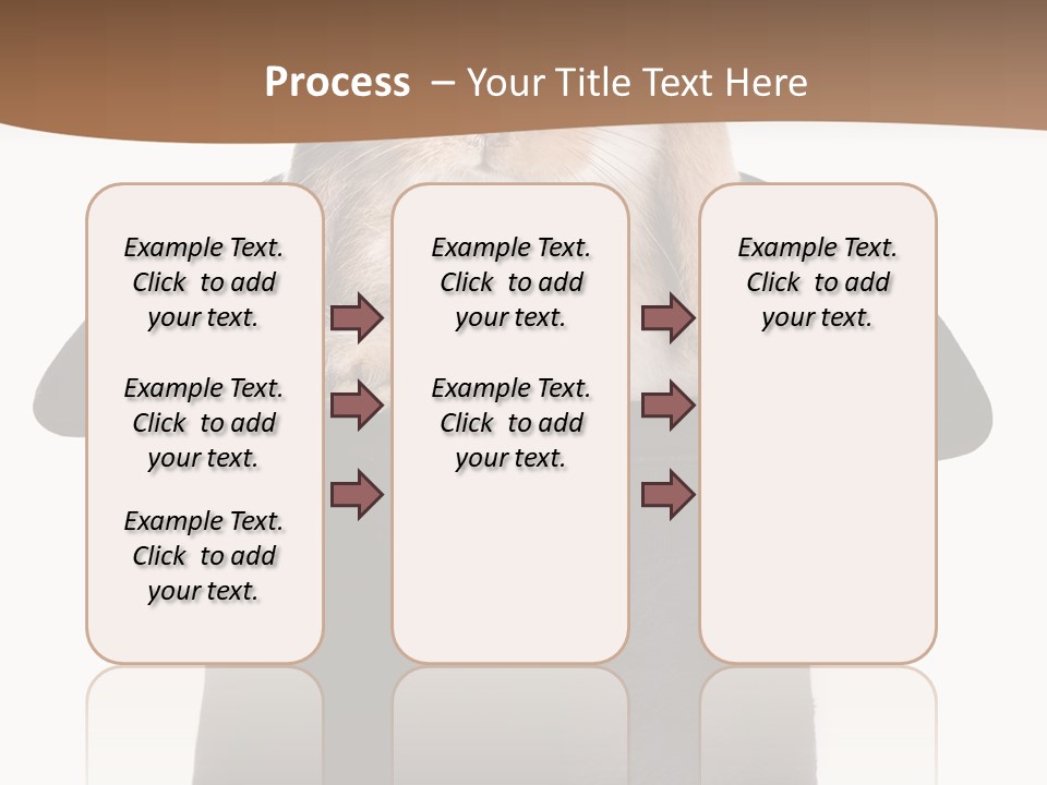 Furry Spring Easter PowerPoint Template