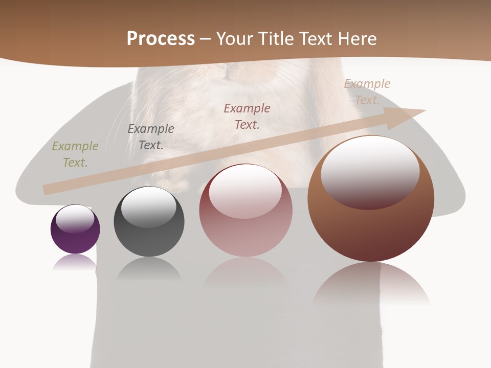 Furry Spring Easter PowerPoint Template