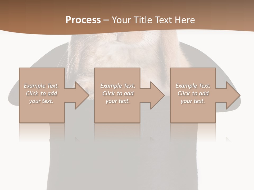 Furry Spring Easter PowerPoint Template