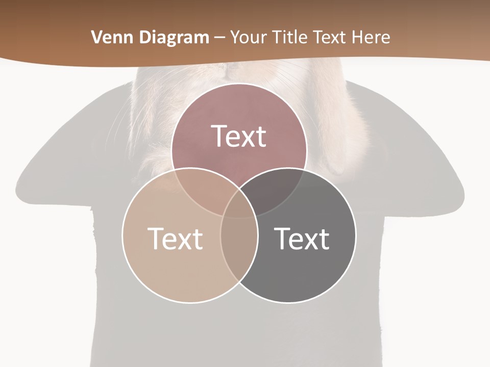 Furry Spring Easter PowerPoint Template