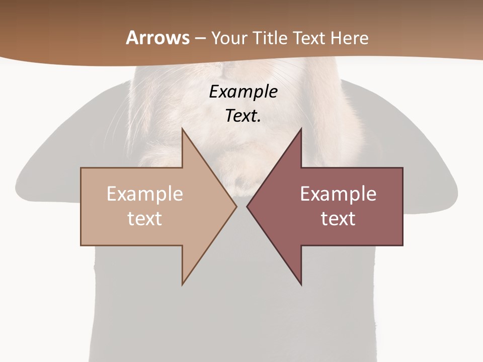 Furry Spring Easter PowerPoint Template