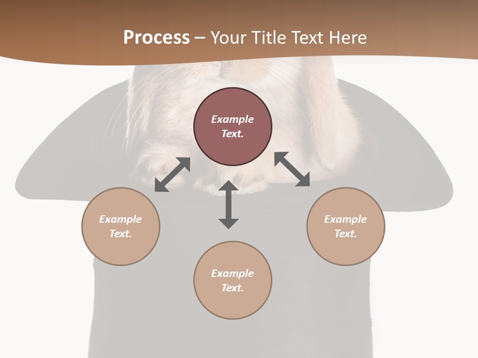 Furry Spring Easter PowerPoint Template