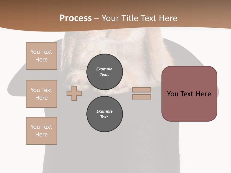 Furry Spring Easter PowerPoint Template