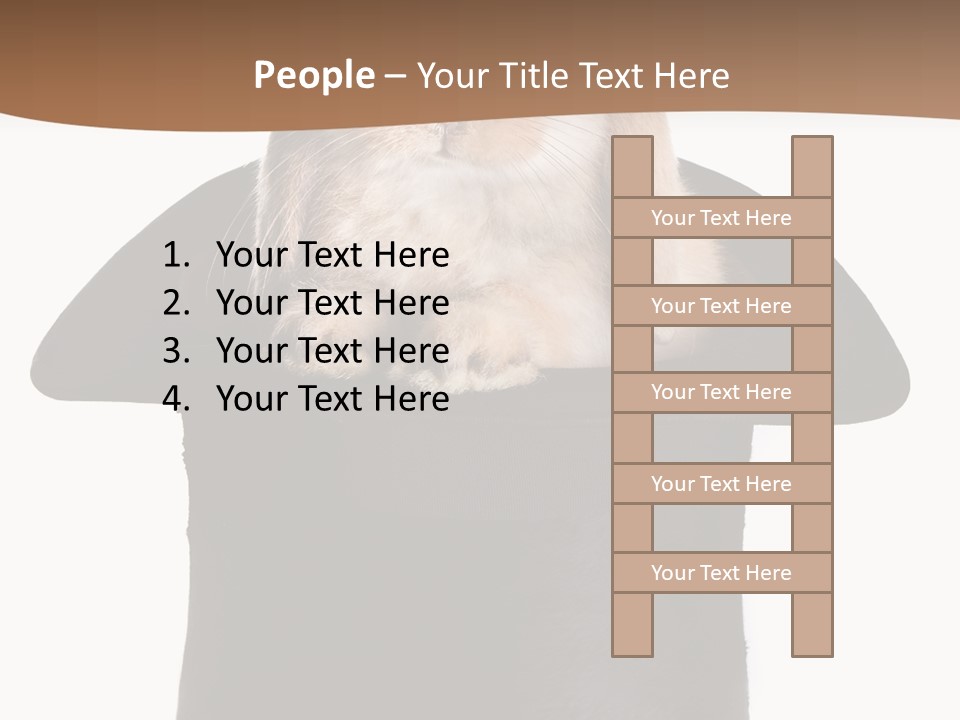 Furry Spring Easter PowerPoint Template