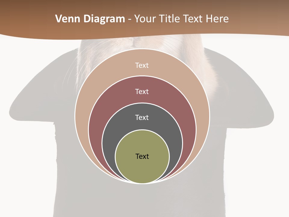 Furry Spring Easter PowerPoint Template