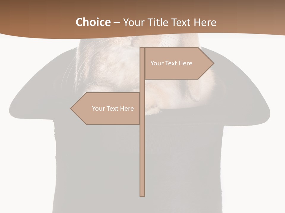 Furry Spring Easter PowerPoint Template