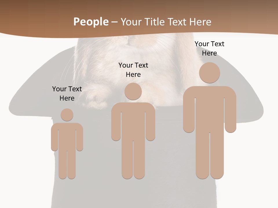 Furry Spring Easter PowerPoint Template