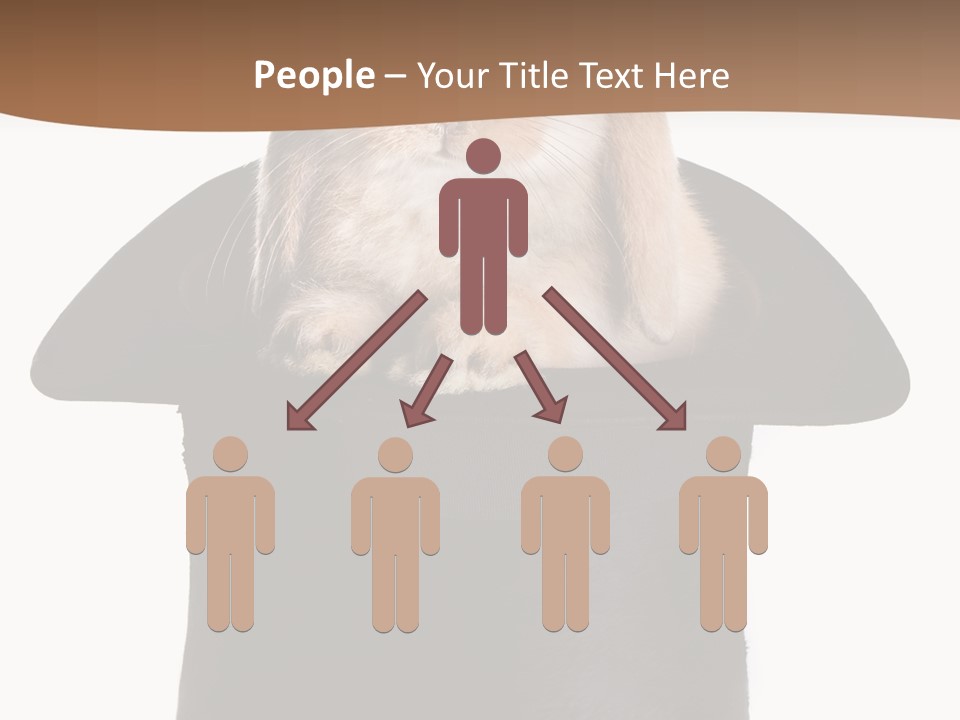 Furry Spring Easter PowerPoint Template