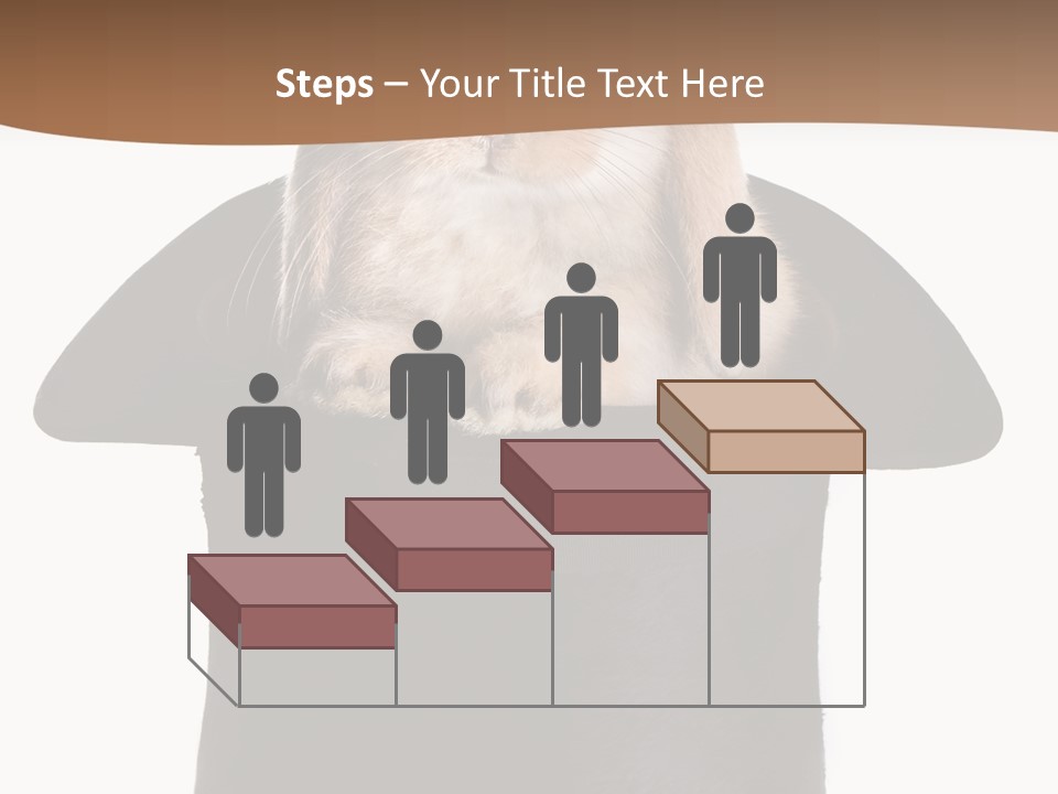 Furry Spring Easter PowerPoint Template