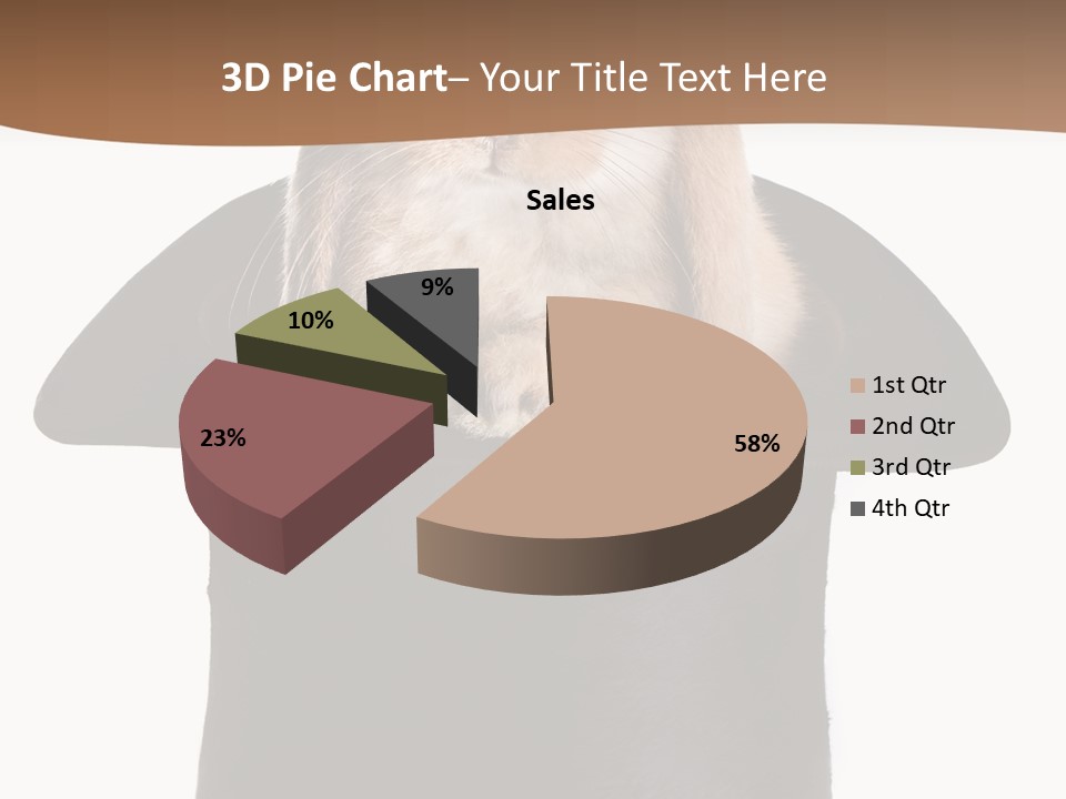 Furry Spring Easter PowerPoint Template