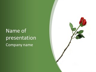 Occasion Rose Holiday PowerPoint Template