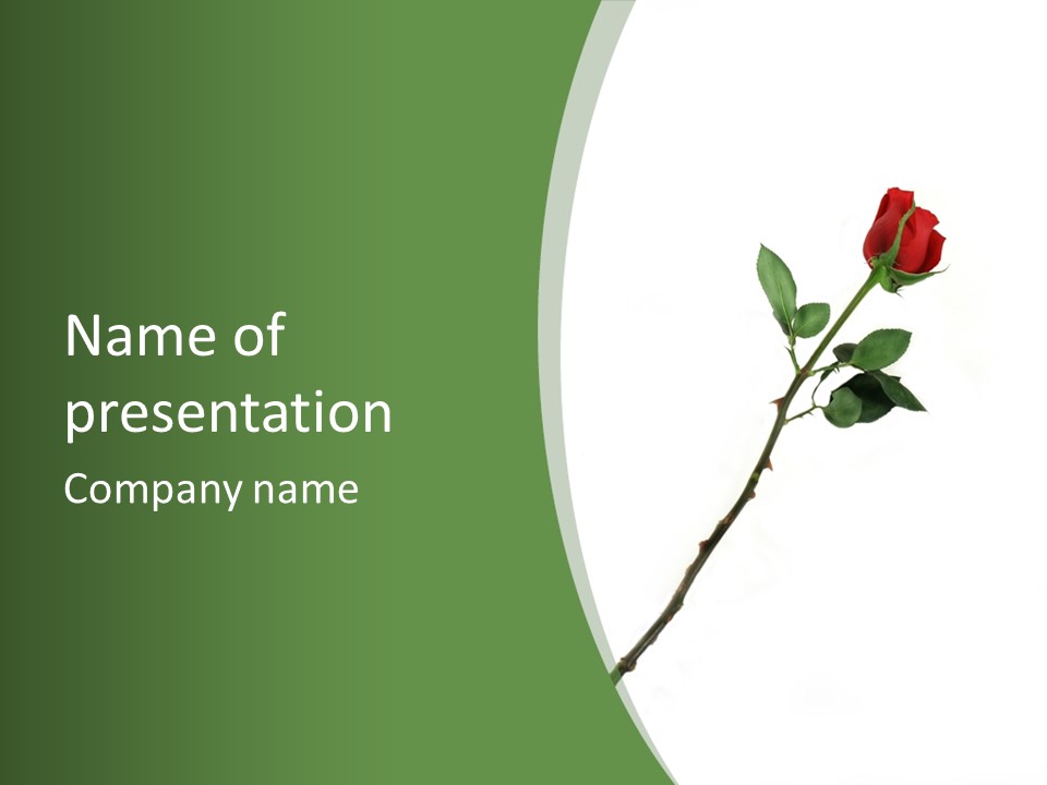 Occasion Rose Holiday PowerPoint Template