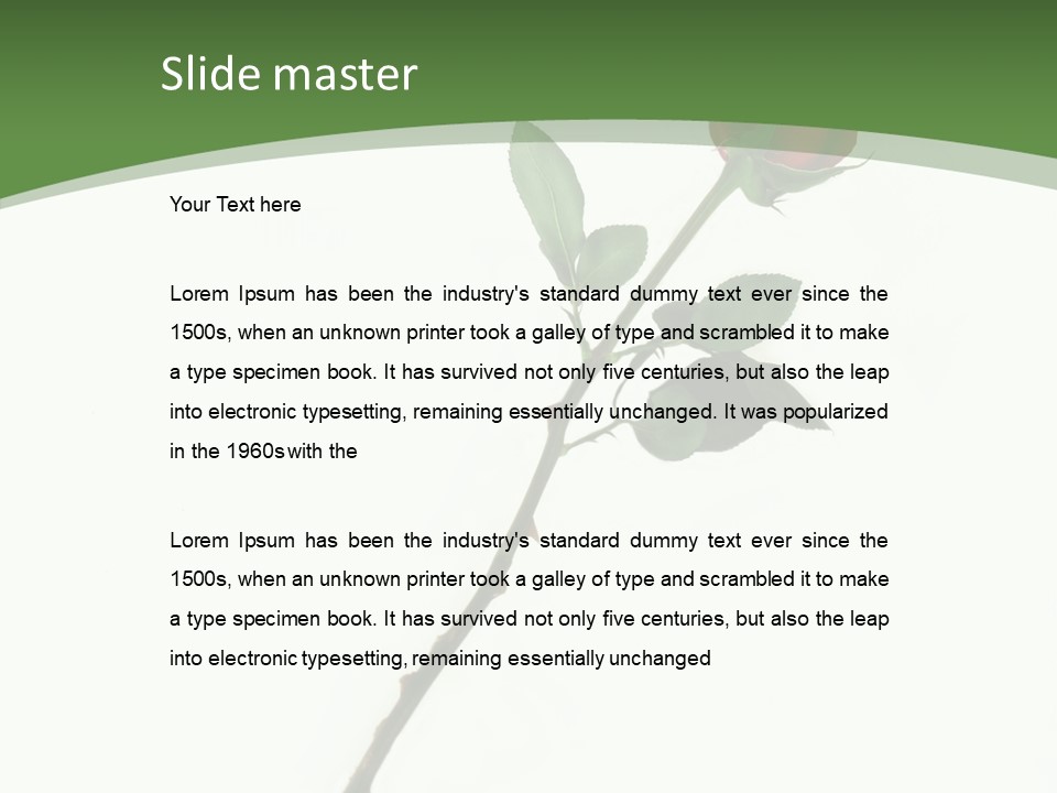 Occasion Rose Holiday PowerPoint Template