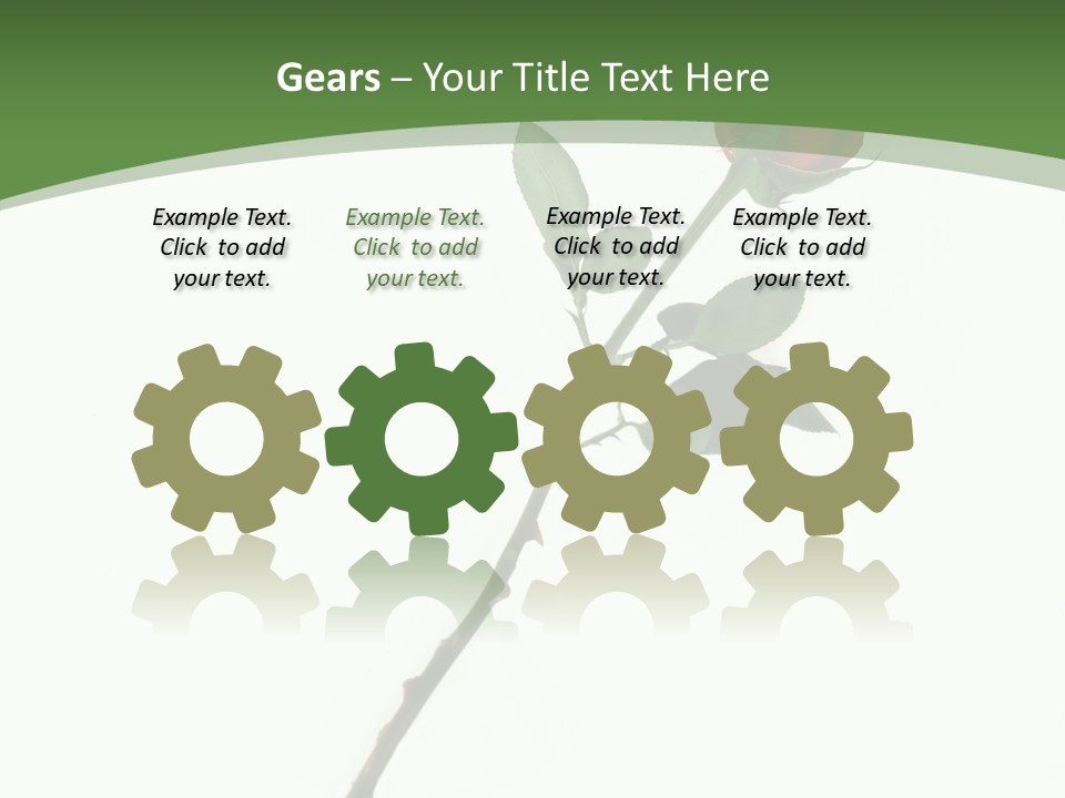 Occasion Rose Holiday PowerPoint Template