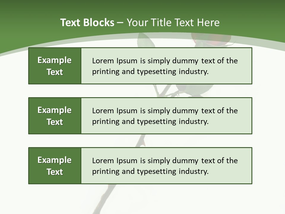 Occasion Rose Holiday PowerPoint Template