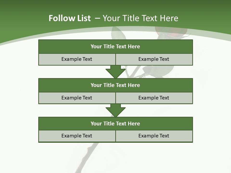 Occasion Rose Holiday PowerPoint Template