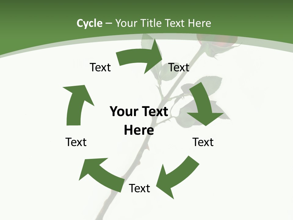 Occasion Rose Holiday PowerPoint Template