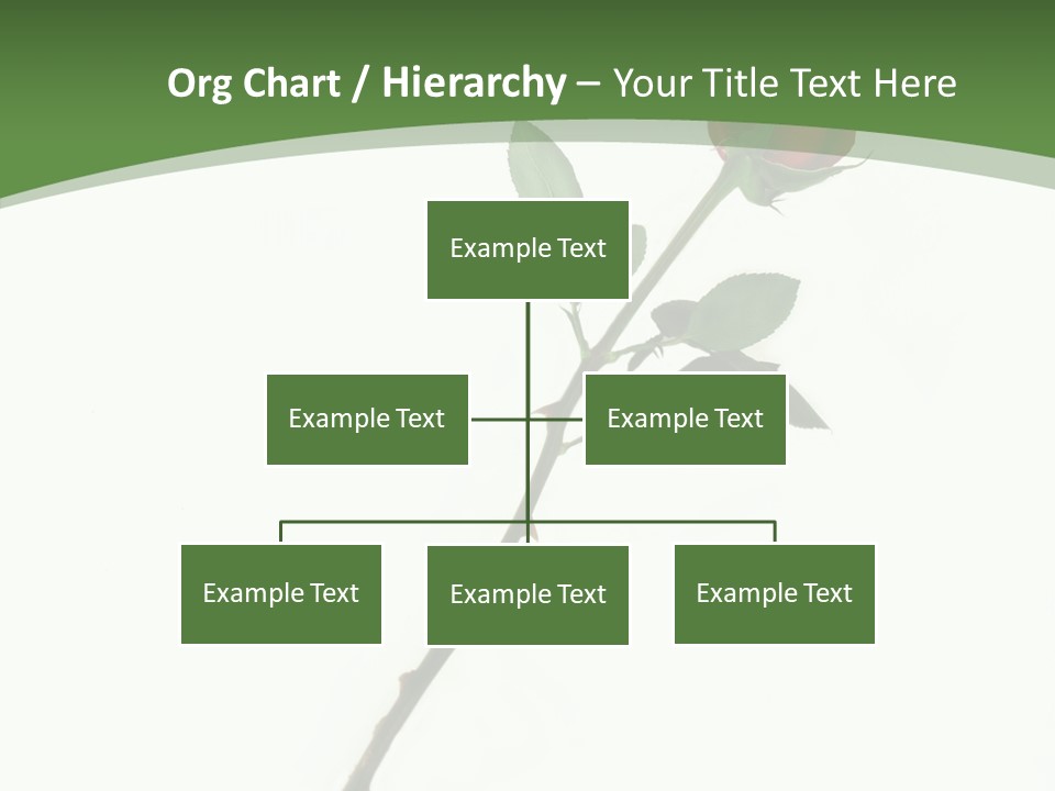 Occasion Rose Holiday PowerPoint Template