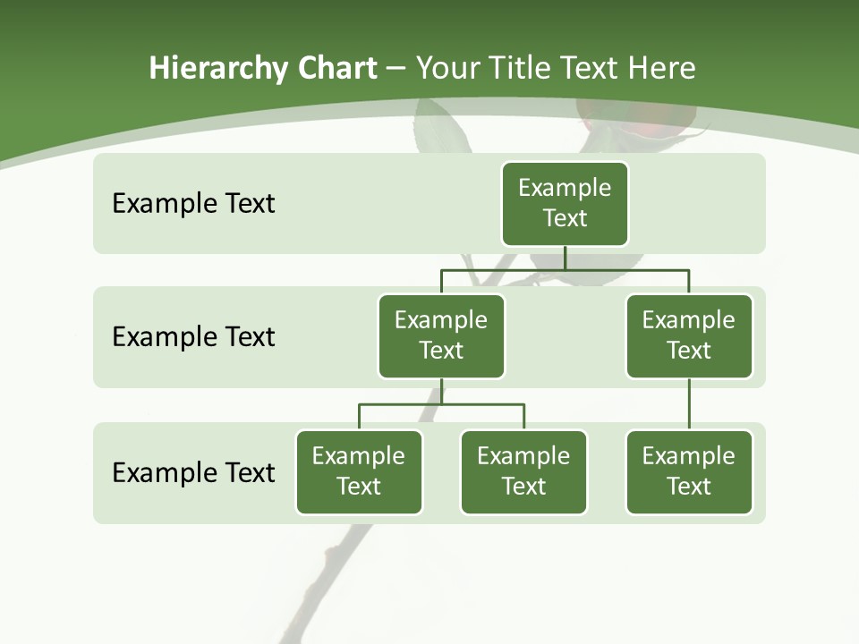 Occasion Rose Holiday PowerPoint Template