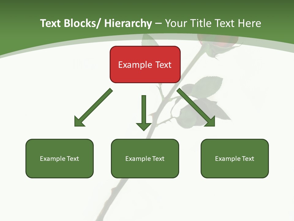 Occasion Rose Holiday PowerPoint Template