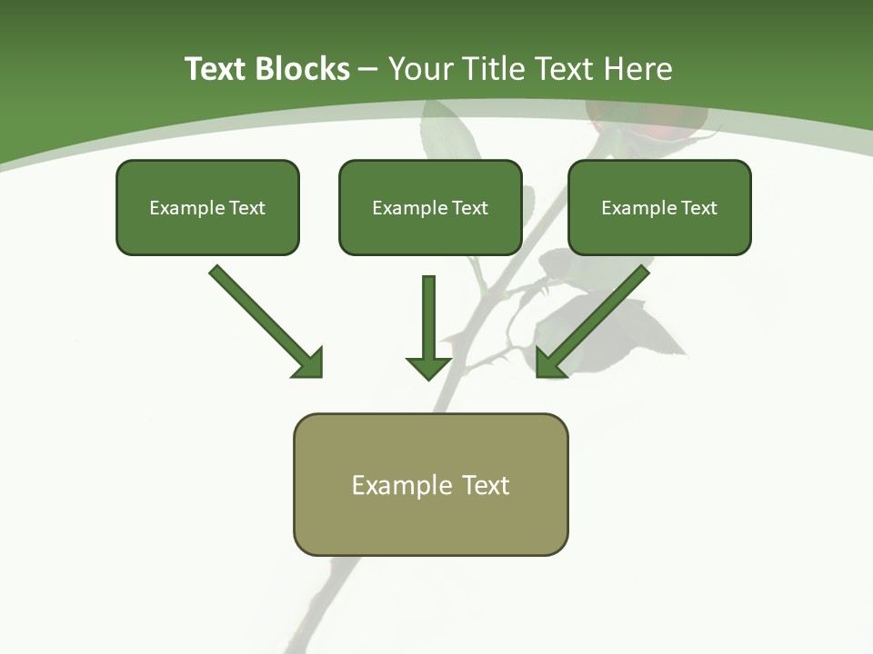 Occasion Rose Holiday PowerPoint Template