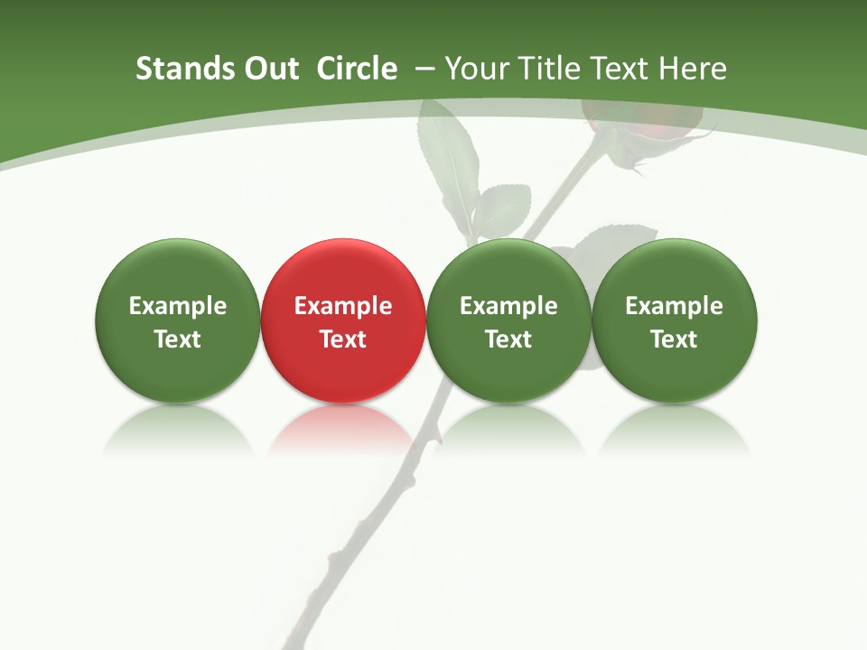 Occasion Rose Holiday PowerPoint Template