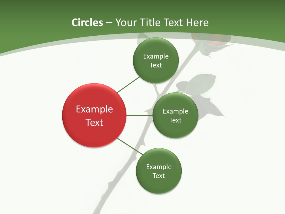 Occasion Rose Holiday PowerPoint Template