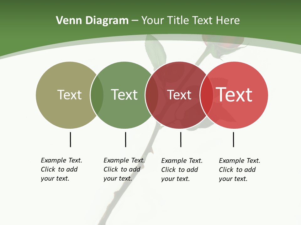 Occasion Rose Holiday PowerPoint Template