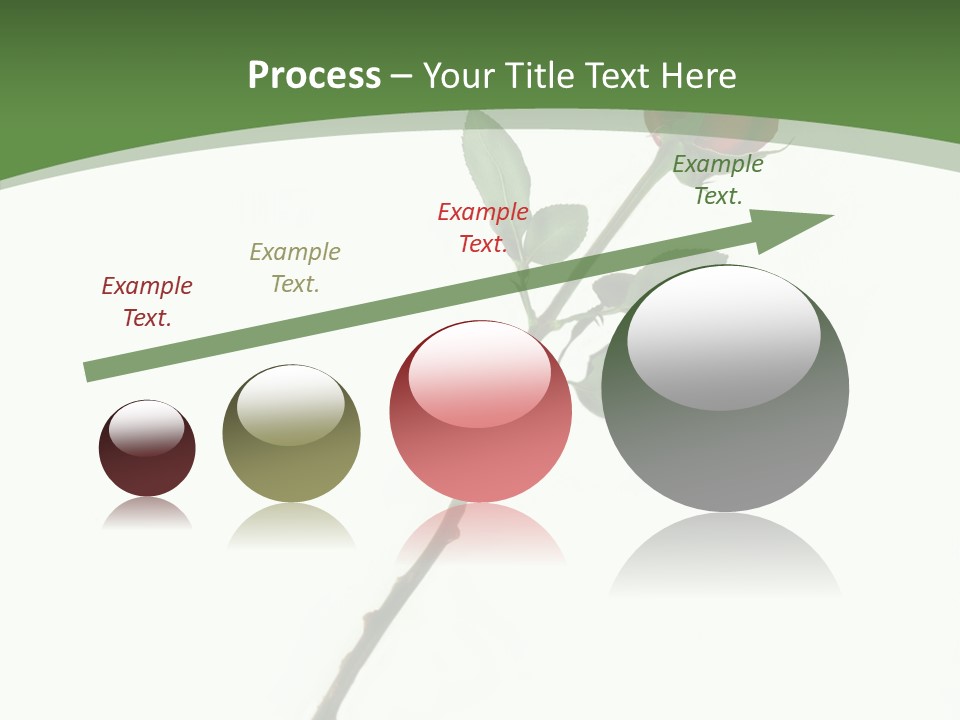 Occasion Rose Holiday PowerPoint Template