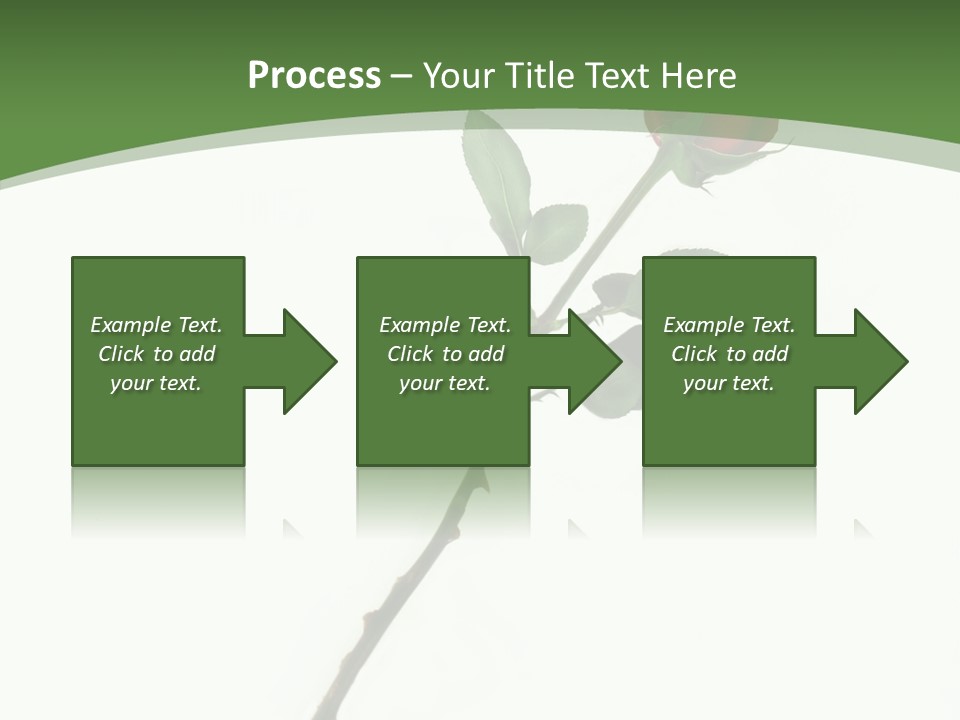 Occasion Rose Holiday PowerPoint Template