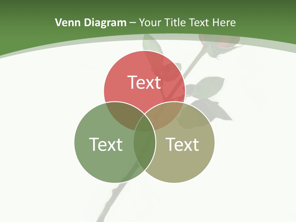 Occasion Rose Holiday PowerPoint Template