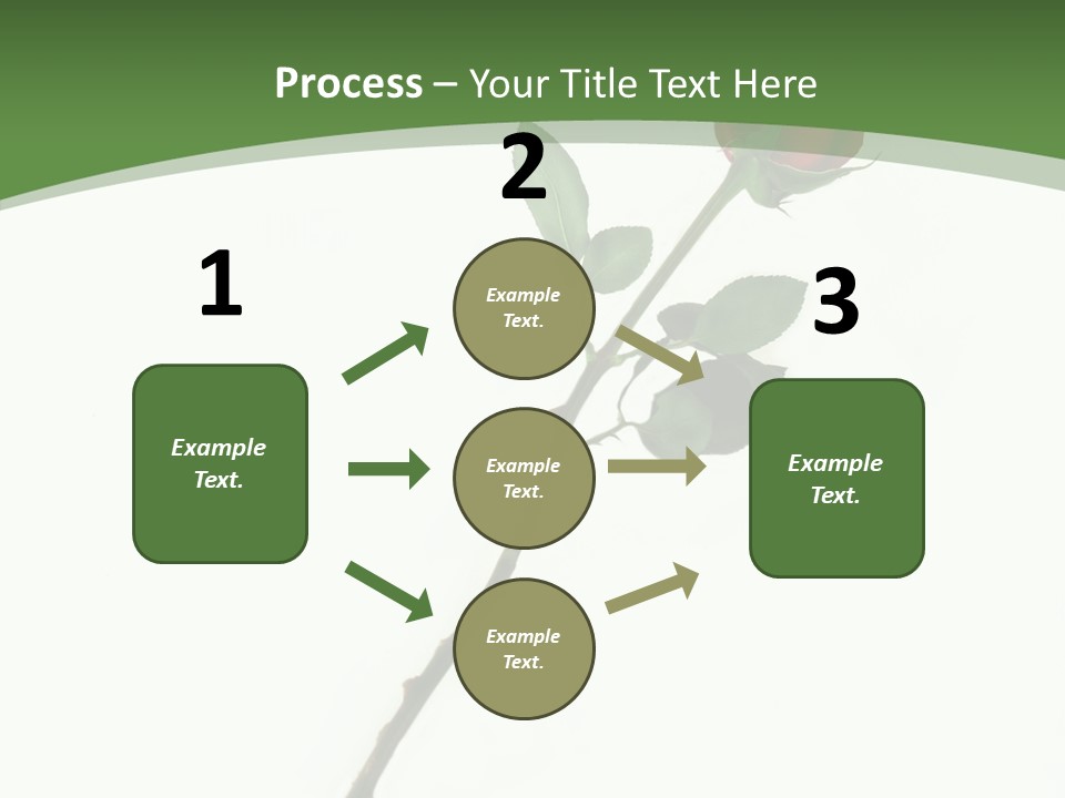 Occasion Rose Holiday PowerPoint Template