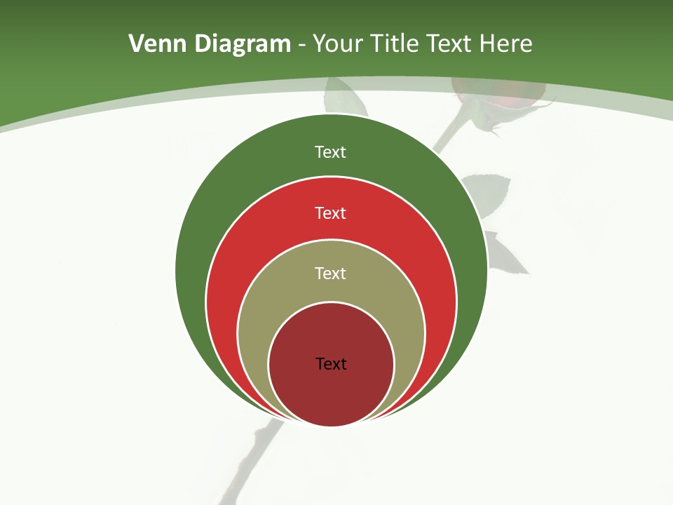 Occasion Rose Holiday PowerPoint Template