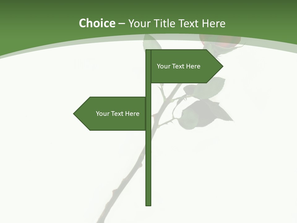 Occasion Rose Holiday PowerPoint Template